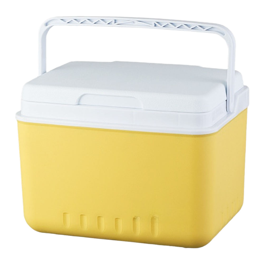 Portable 6L 15L Insulated Cool - Food Storage Camping review and price