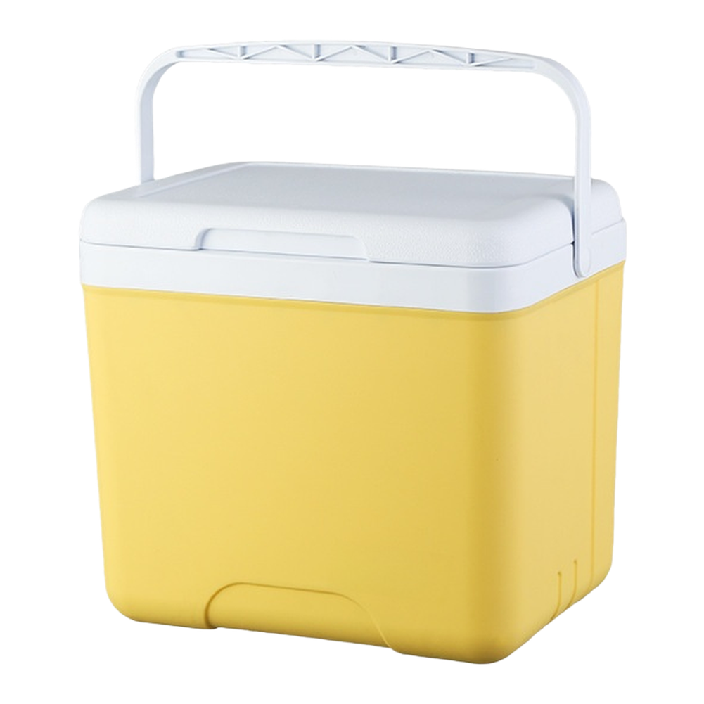 Portable 6L 15L Insulated Cool - Food Storage Camping review and price