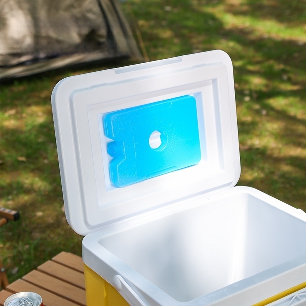 Portable 6L 15L Insulated Cool - Food Storage Camping review and price