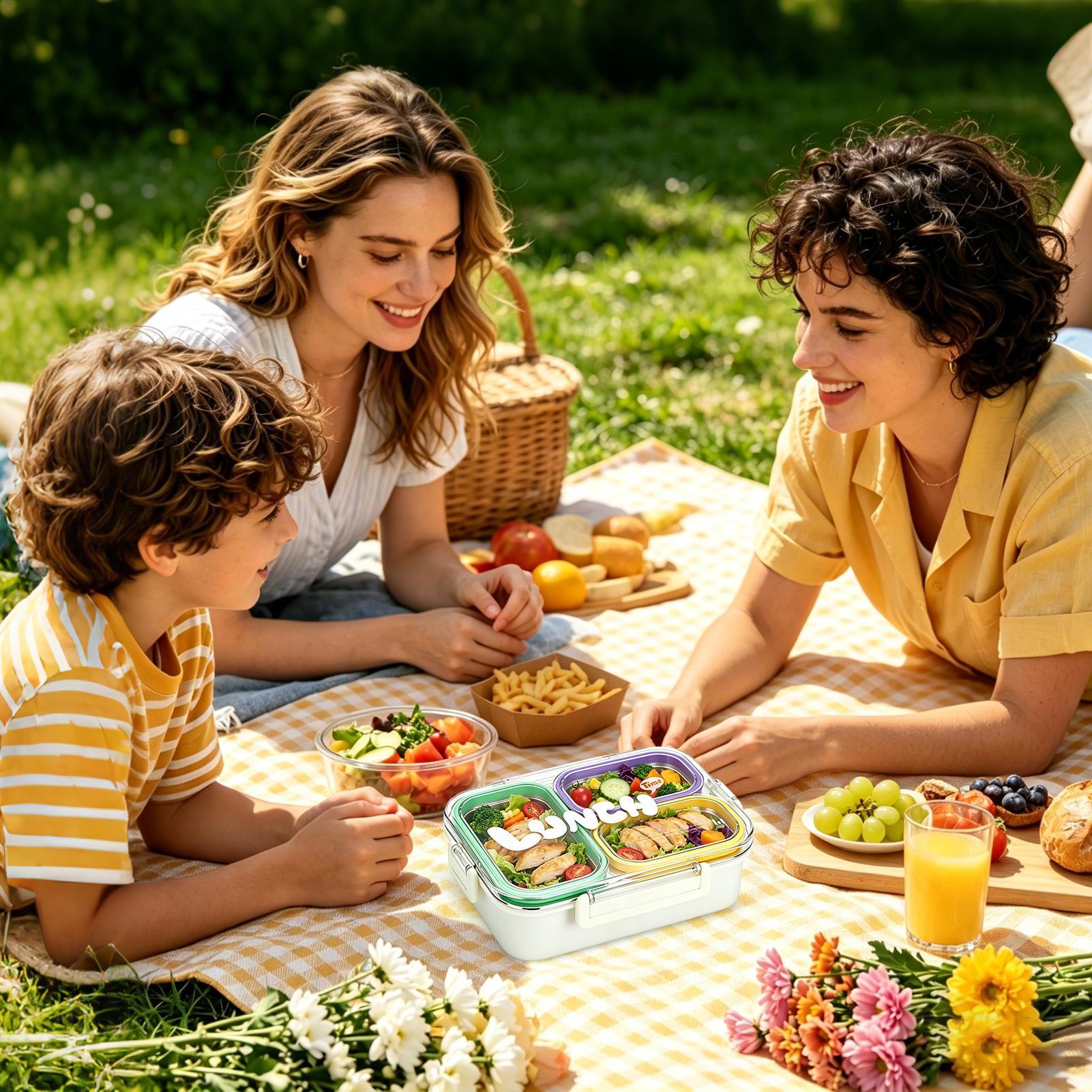 Stainless Steel Lunch Box 3 Co - Food Storage Camping review and price