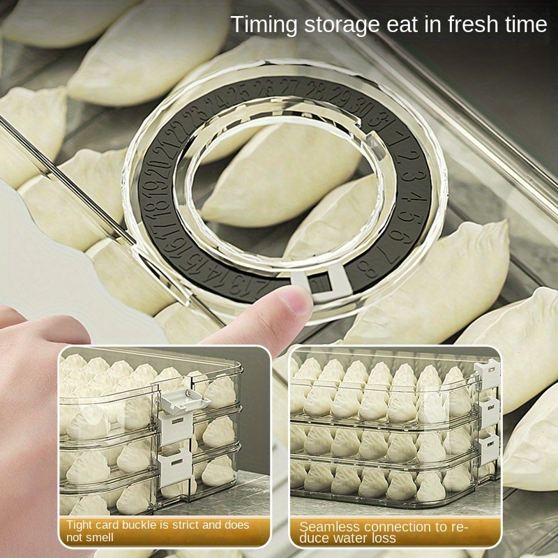 Dumpling Storage Box, Large-ca - Food Storage Box Large review and price