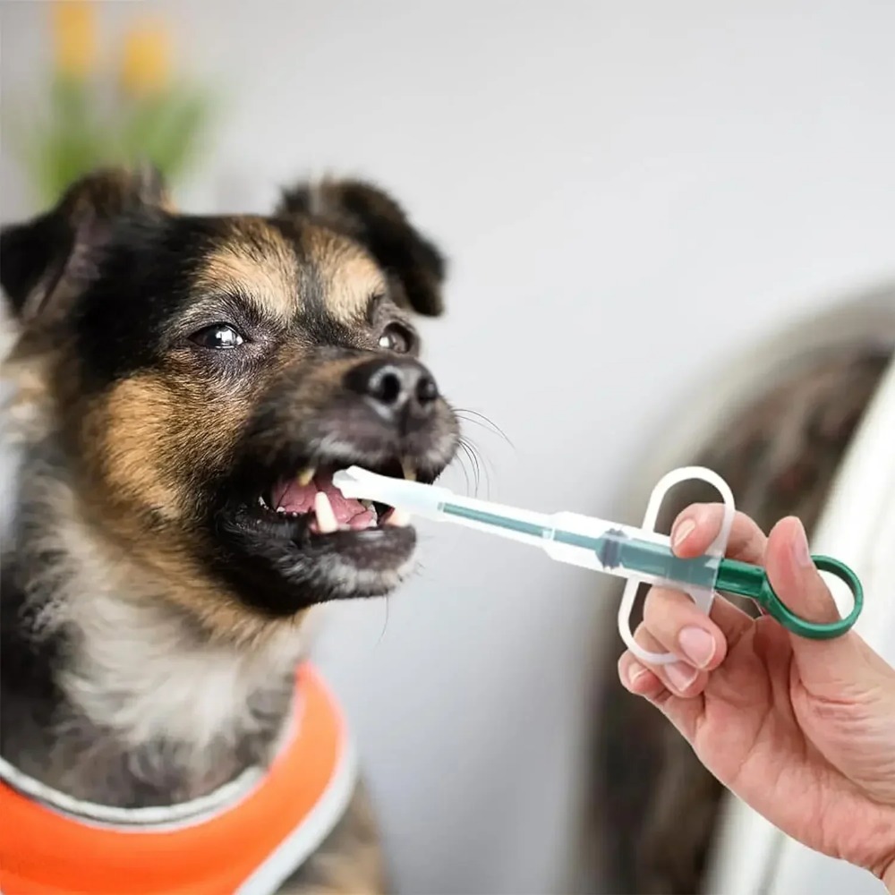 Dog Cat AccessoriesPet Syringe - Food Storage Youtube review and price