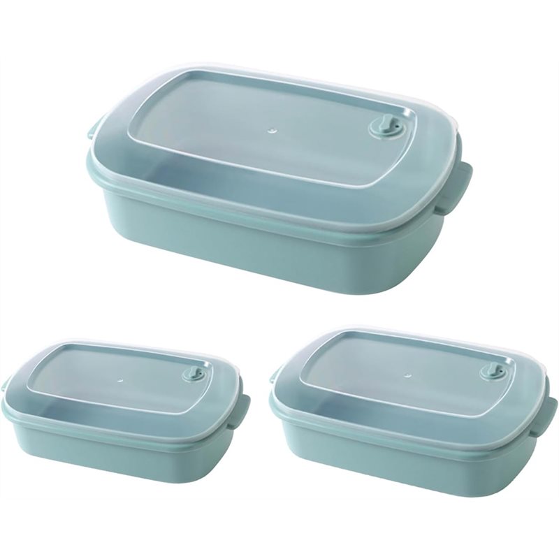 ABMI-For Fruits& Salads Storag - Food Storage Containers Plastic Box review and price