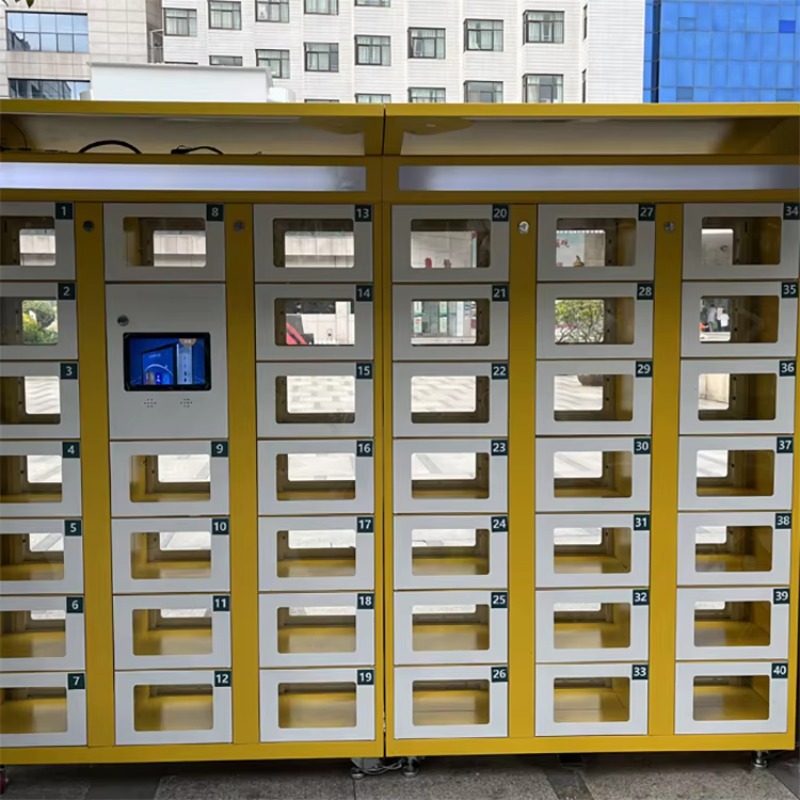 Custom Double Sided Locker Ele - Food Storage Locker review and price