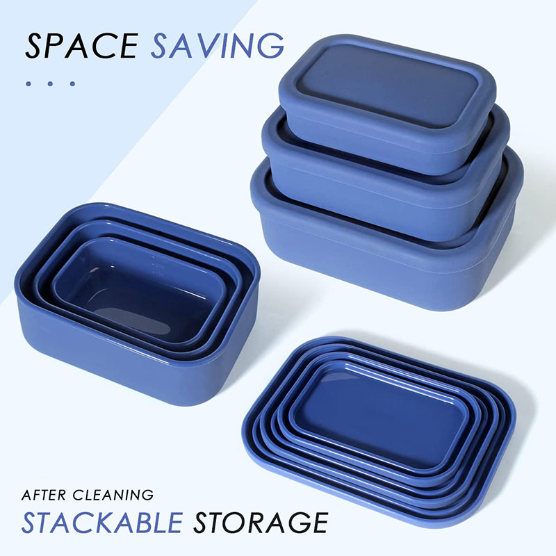 Leak-Resistant Bento Lunch Box - Food Storage Prep Containers review and price
