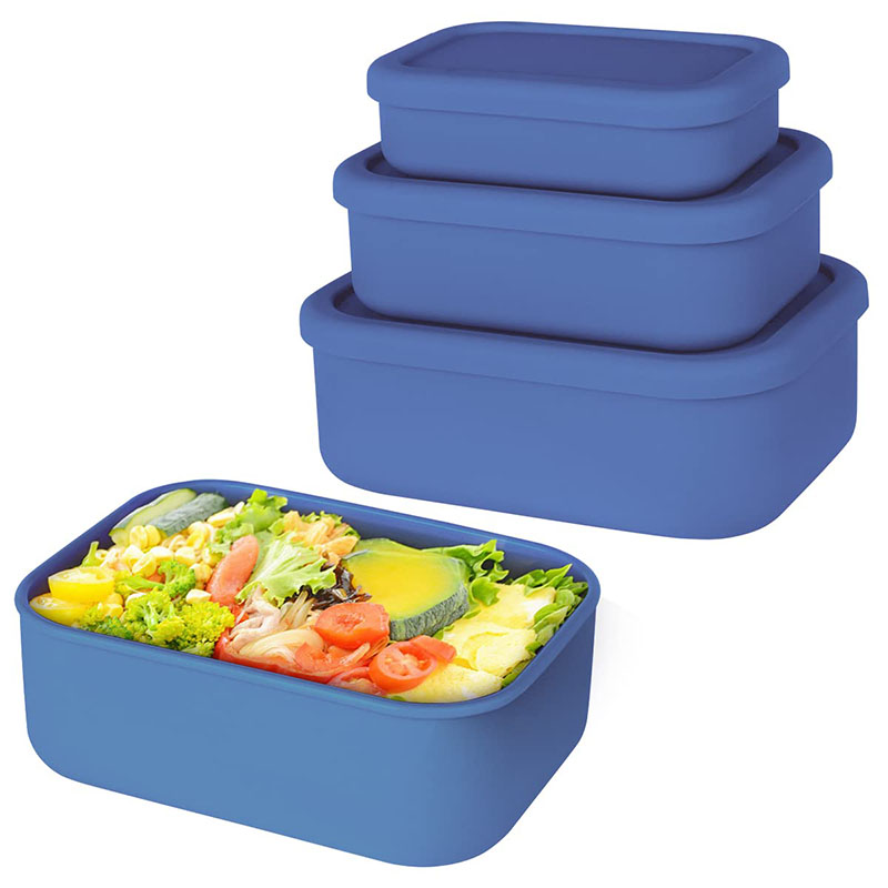 Leak-Resistant Bento Lunch Box - Food Storage Prep Containers review and price