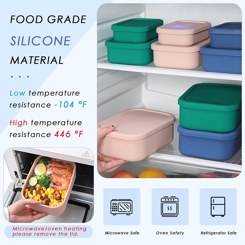 Leak-Resistant Bento Lunch Box - Food Storage Prep Containers review and price